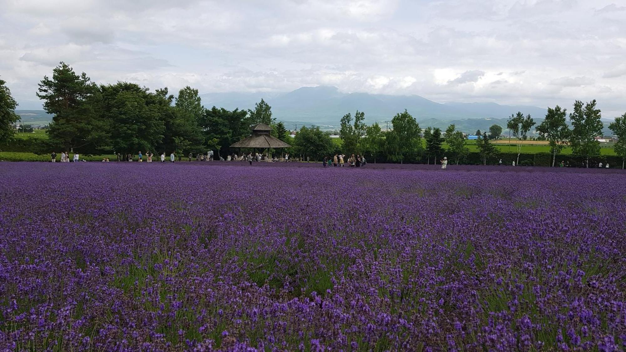 Furano B&B ภายนอก รูปภาพ