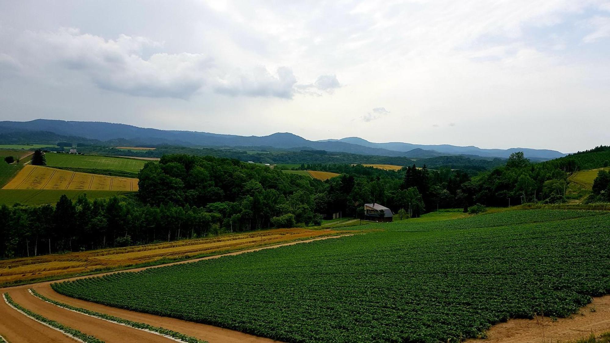 Furano B&B ภายนอก รูปภาพ