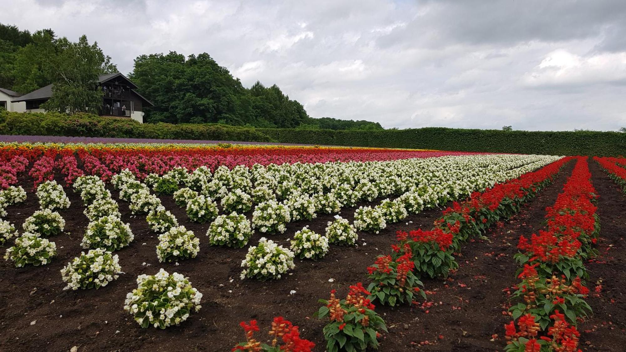 Furano B&B ภายนอก รูปภาพ