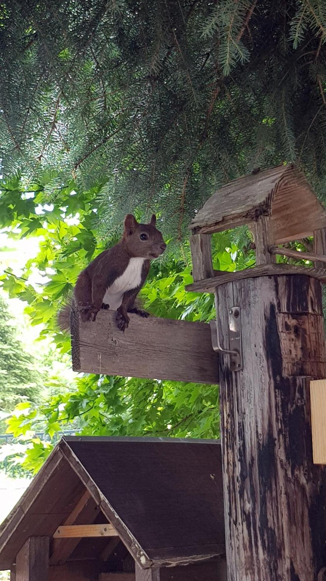 Furano B&B ภายนอก รูปภาพ